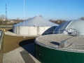 BPS 10 2 2014 repre 066