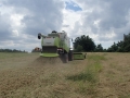 P7060920[1].jpg