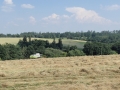P7070986[1].jpg