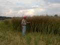 WP_20140730_001