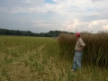 WP_20140730_002