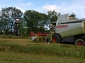 WP_20140805_013