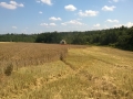 WP_20140719_003