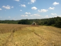 WP_20140719_004