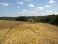 WP_20140719_005