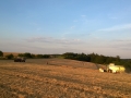 WP_20140722_002