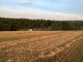 WP_20140722_003