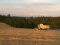 WP_20140722_004