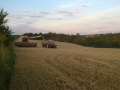 WP_20140722_007