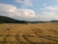 WP_20140726_001