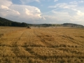WP_20140726_002