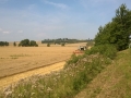 WP_20140728_001