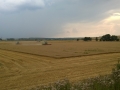 WP_20140728_009