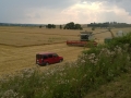 WP_20140728_011