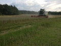WP_20140805_010