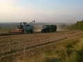 WP_20140810_007